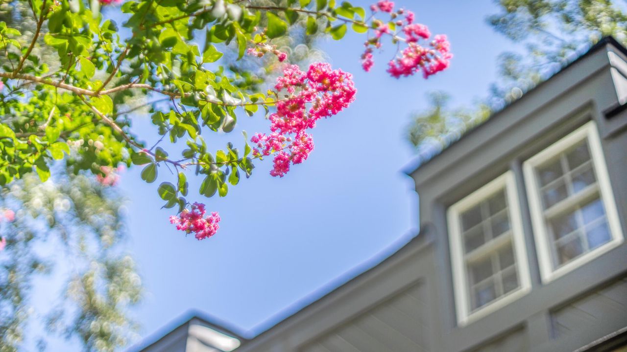 108 Lakeview Drive Photo 58