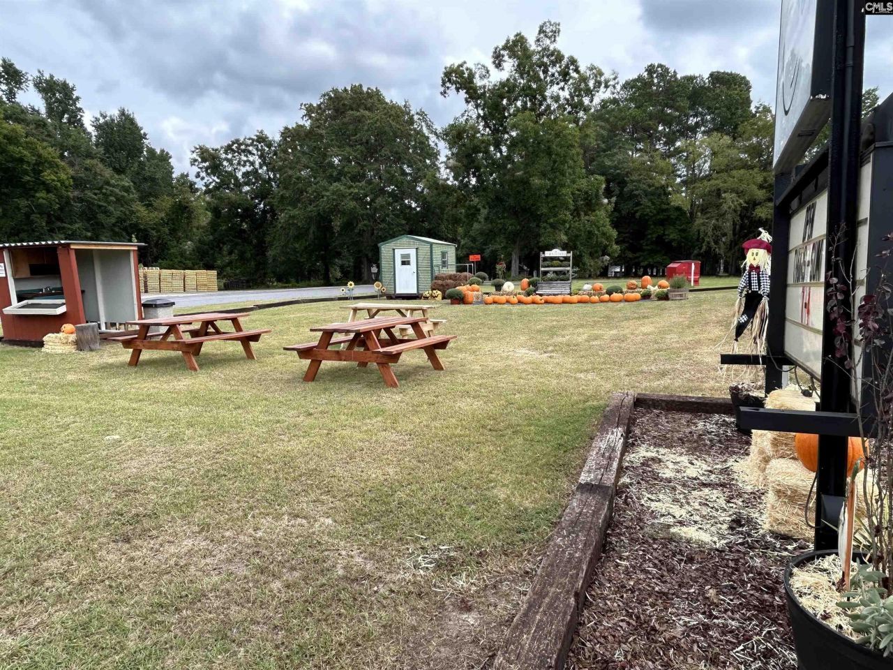 8291 Savannah Highway Photo 18