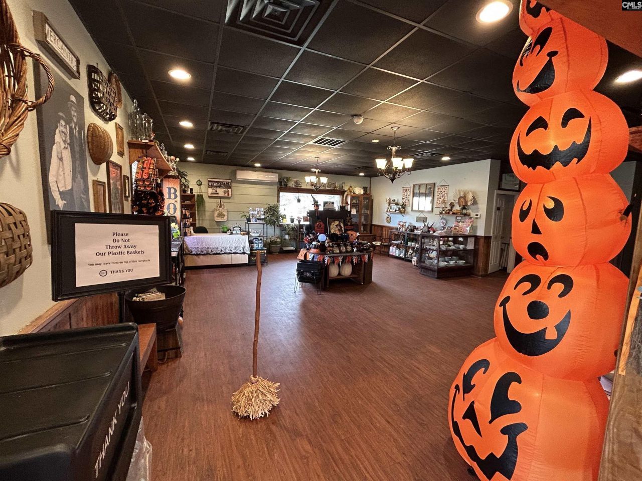 8291 Savannah Highway  Photo 21