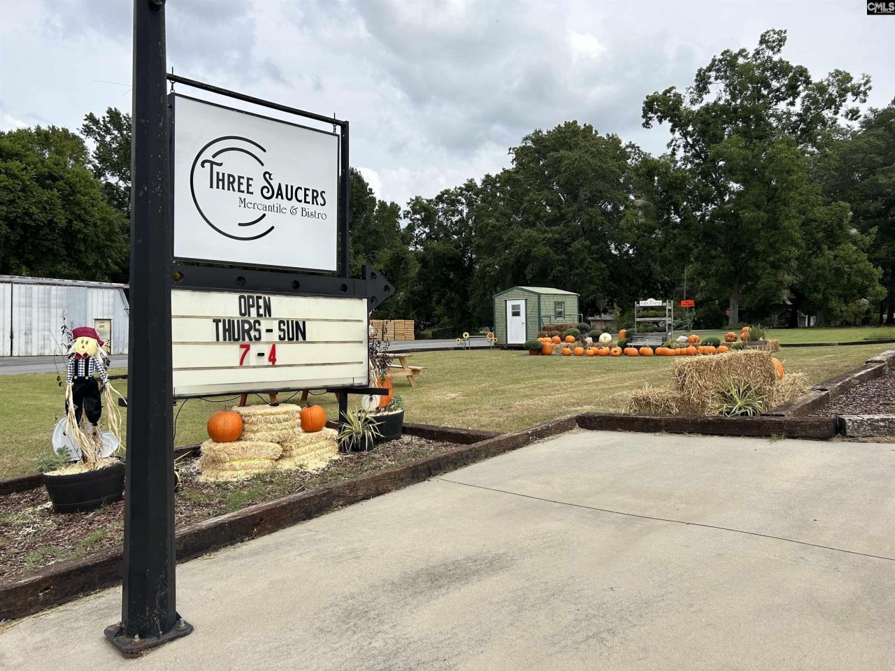 8291 Savannah Highway  Photo 25