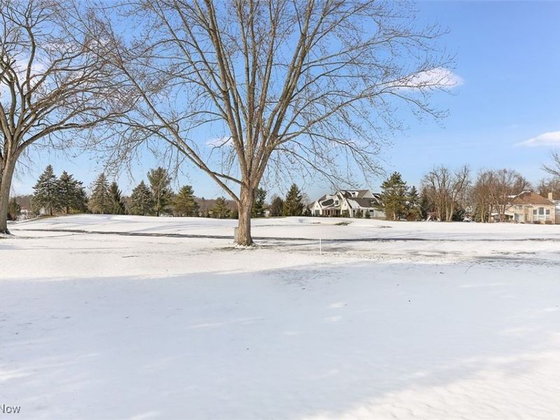 196 Chisholm Court, Aurora, OH 44202 Photo 39