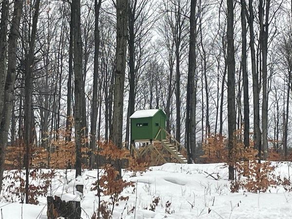 20350 Lindy Road, Copemish, MI 49625