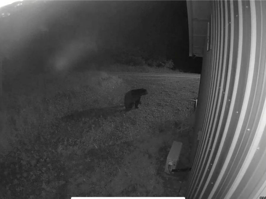 Property Image 35