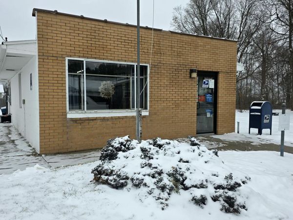 3018 Palmer Road, Orleans, MI 48865