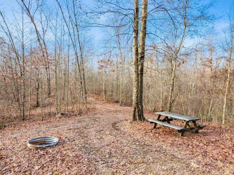 31201 Claypool Hollow Road, McArthur, OH 45651 Photo 51