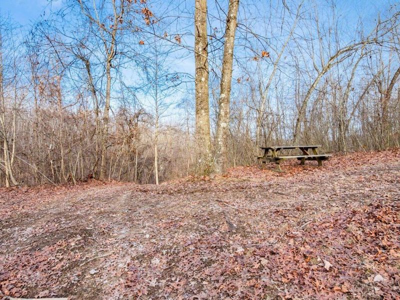 31201 Claypool Hollow Road, McArthur, OH 45651 Photo 53