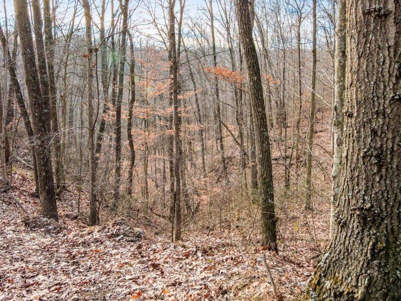 31201 Claypool Hollow Road, McArthur, OH 45651 Photo 57