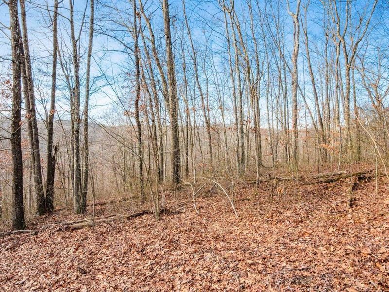 31201 Claypool Hollow Road, McArthur, OH 45651 Photo 61