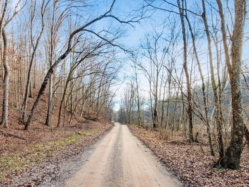 31201 Claypool Hollow Road, McArthur, OH 45651 Photo 65