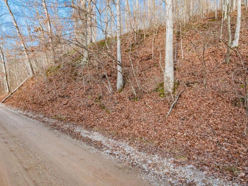 31201 Claypool Hollow Road, McArthur, OH 45651 Photo 67