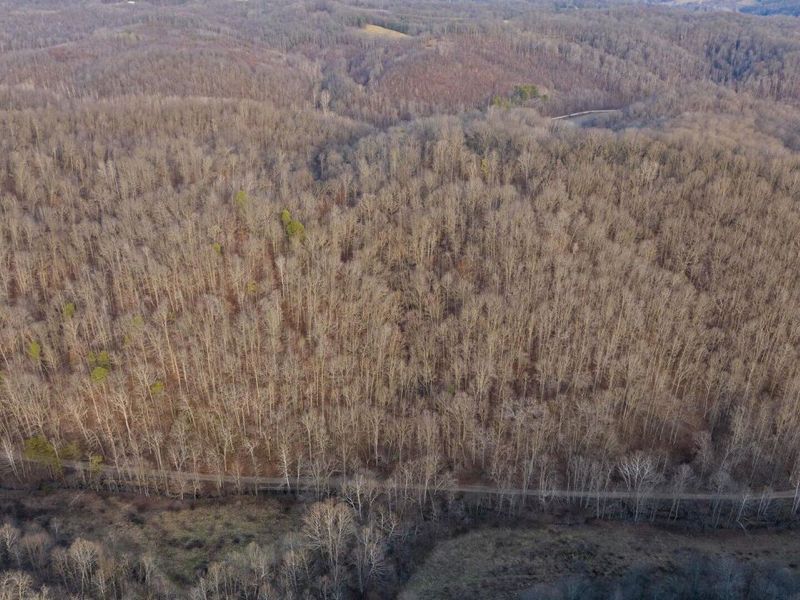 31201 Claypool Hollow Road, McArthur, OH 45651 Photo 73