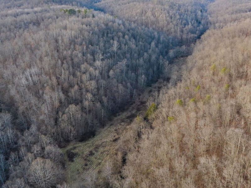 31201 Claypool Hollow Road, McArthur, OH 45651 Photo 74