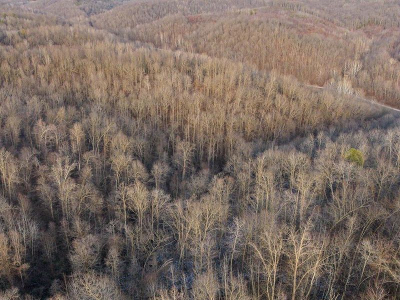 31201 Claypool Hollow Road, McArthur, OH 45651 Photo 75