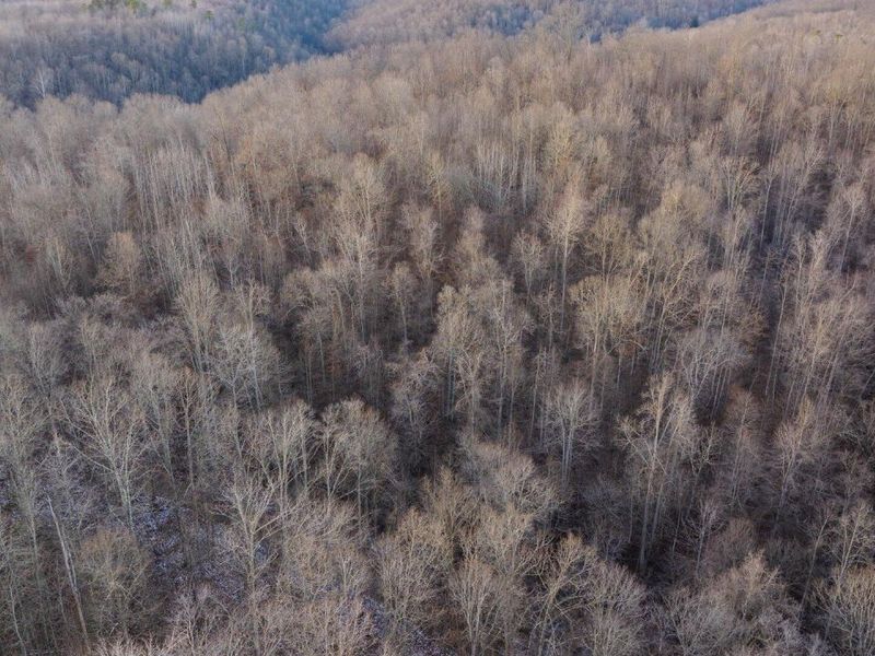 31201 Claypool Hollow Road, McArthur, OH 45651 Photo 77