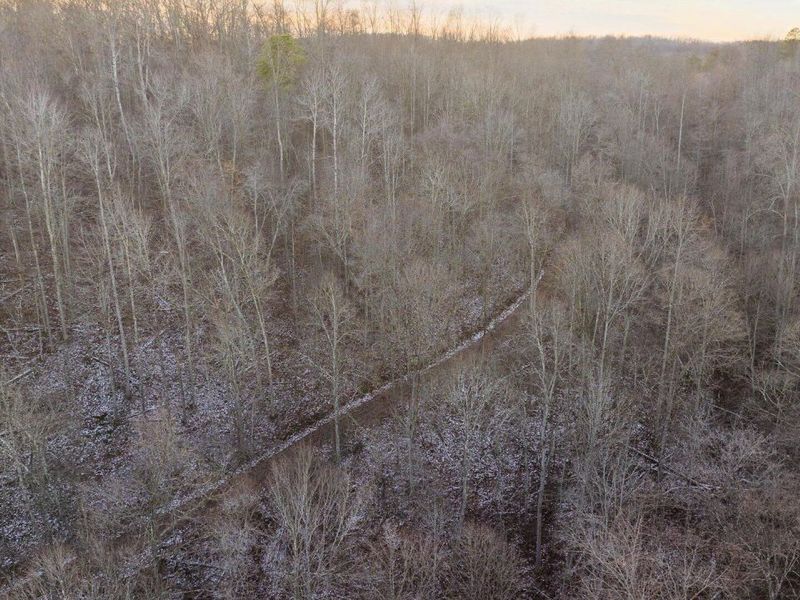 31201 Claypool Hollow Road, McArthur, OH 45651 Photo 80