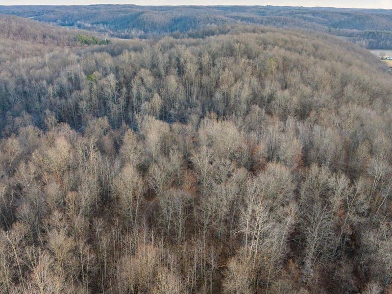 31201 Claypool Hollow Road, McArthur, OH 45651 Photo 81