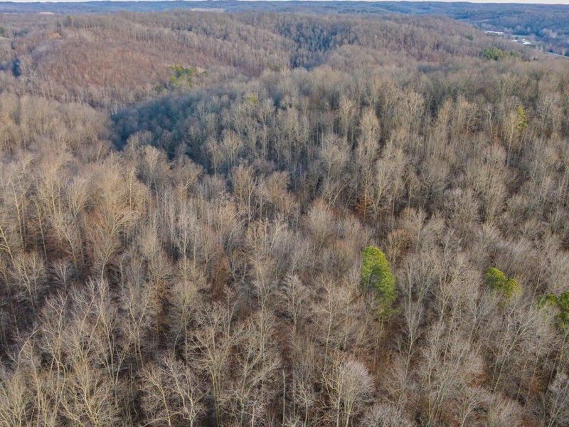 31201 Claypool Hollow Road, McArthur, OH 45651 Photo 82