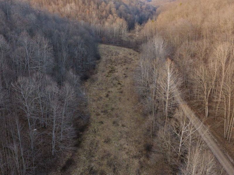 31201 Claypool Hollow Road, McArthur, OH 45651 Photo 86