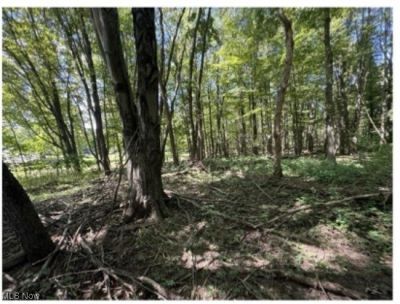 Whittlesey Road, Brownhelm, OH 44001 Main Photo