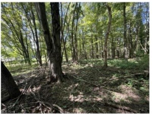 Whittlesey Road, Brownhelm, OH 44001