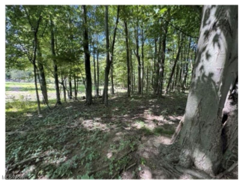 Whittlesey Road, Brownhelm, OH 44001 Photo 2