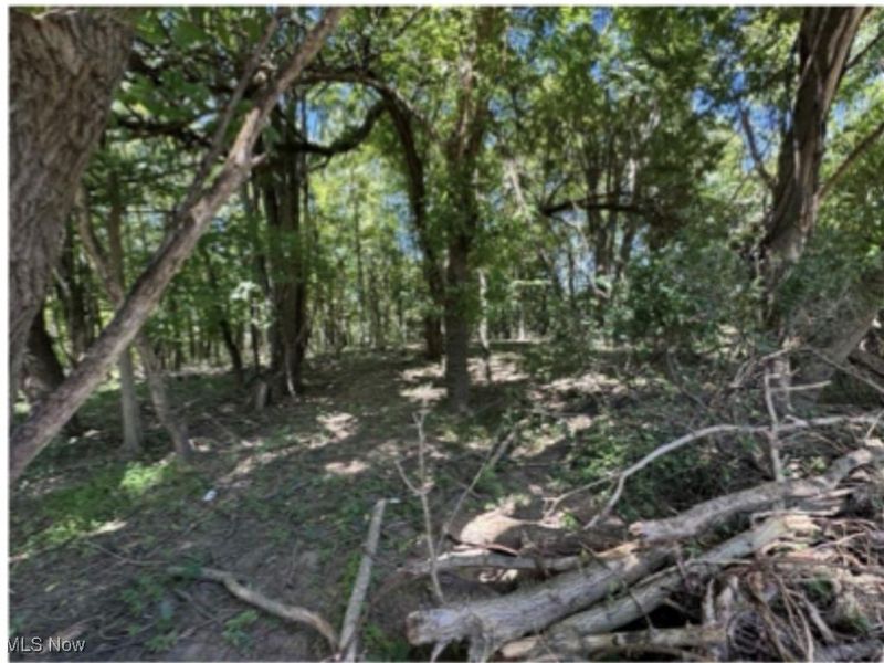 Whittlesey Road, Brownhelm, OH 44001 Photo 3