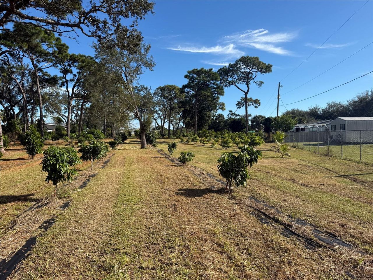 4106 N Us Highway 1, Melbourne, FL 32935 Photo