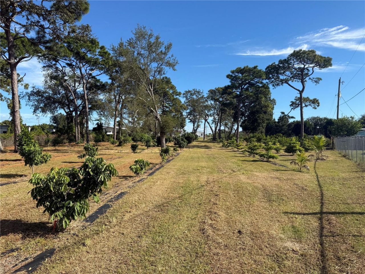 4106 N Us Highway 1, Melbourne, FL 32935 Photo