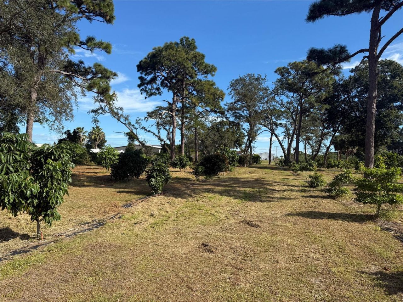 4106 N Us Highway 1, Melbourne, FL 32935 Photo