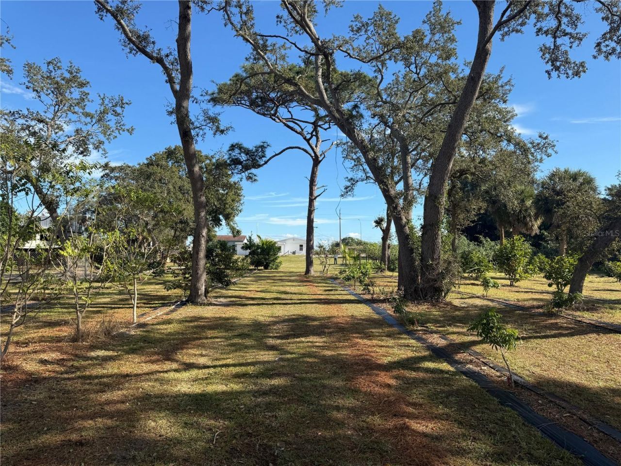 4106 N Us Highway 1, Melbourne, FL 32935 Photo