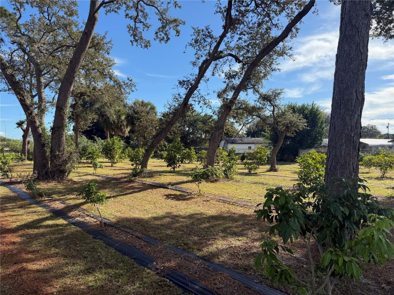 4106 N Us Highway 1, Melbourne, FL 32935 Photo