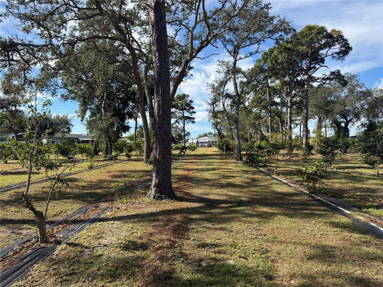 4106 N Us Highway 1, Melbourne, FL 32935 Photo