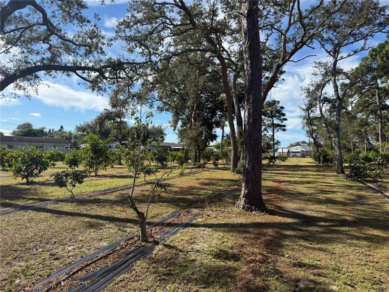 4106 N Us Highway 1, Melbourne, FL 32935 Photo