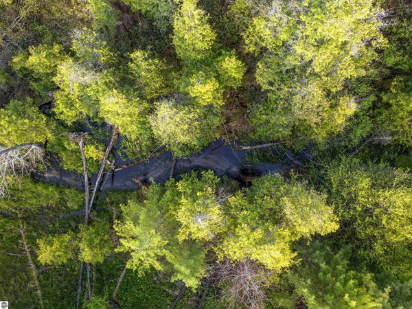 Honor Highway, Interlochen, MI 49643