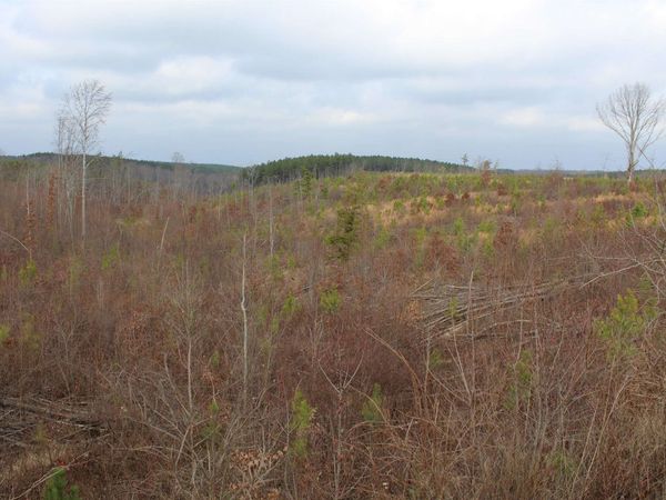 00 ROCKPORT MCILLWAIN RD, Holladay, TN 38341