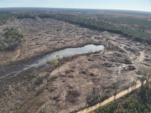 TBD Calhoun 3, Hampton, AR 71744