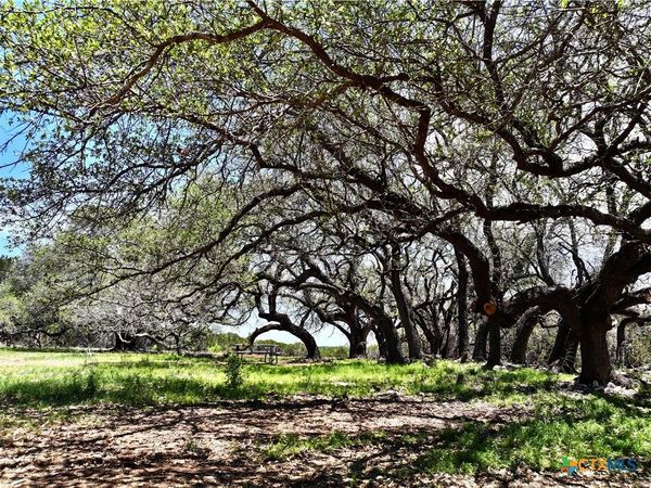 285 Donnie Drive, Lampasas, TX 76550