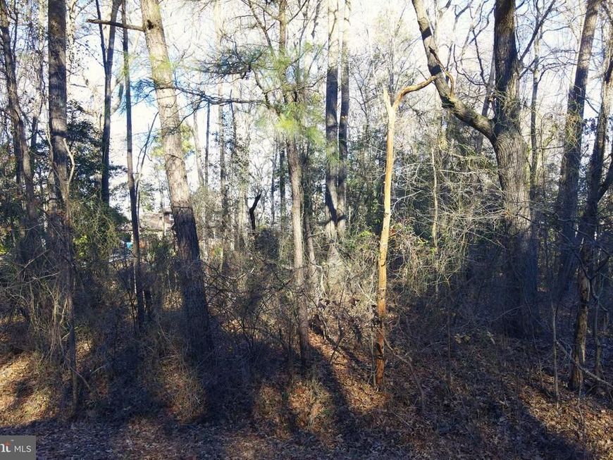 0 S Piney Point Road, Bishopville, MD 21813 Main Photo