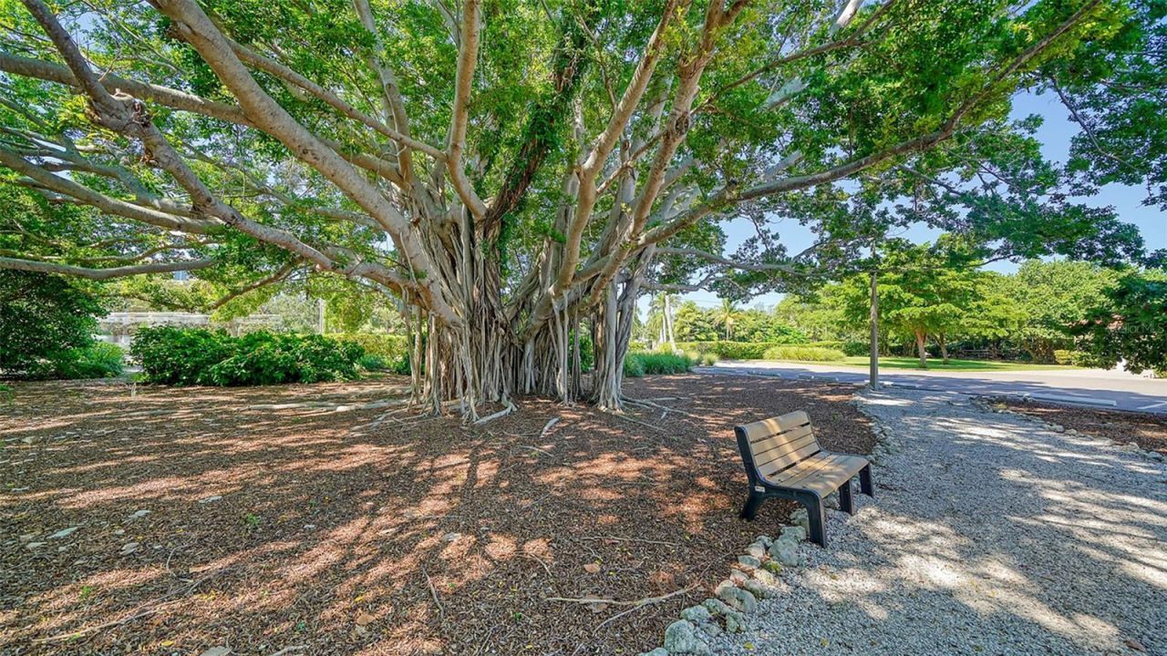 4960 Gulf Of Mexico Drive, Unit 204, Longboat Key, FL 34228 Photo