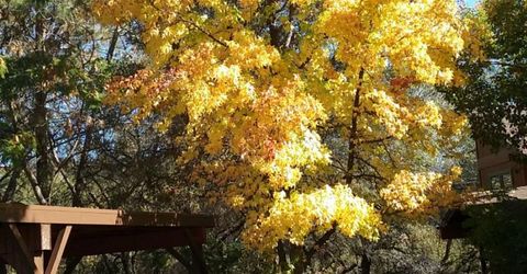 197 Blackberry Ct #10, Unit 10, Auburn, CA 95603 Photo