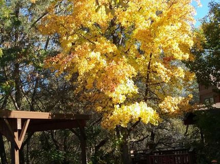 197 Blackberry Ct #10, Unit 10, Auburn, CA 95603 Photo