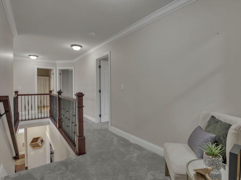 6068 Streamside Drive, Galena, OH 43021 Photo 49