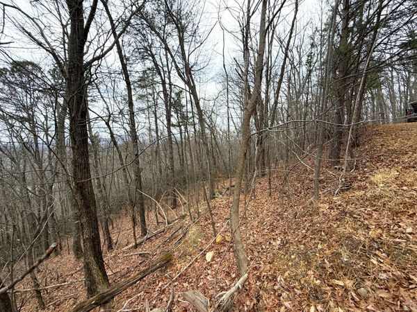 1.01 Ac Green Forest Road, Cosby, TN 37722