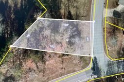 101 Summer Branch Lane photo 4