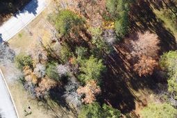 101 Summer Branch Lane photo 4