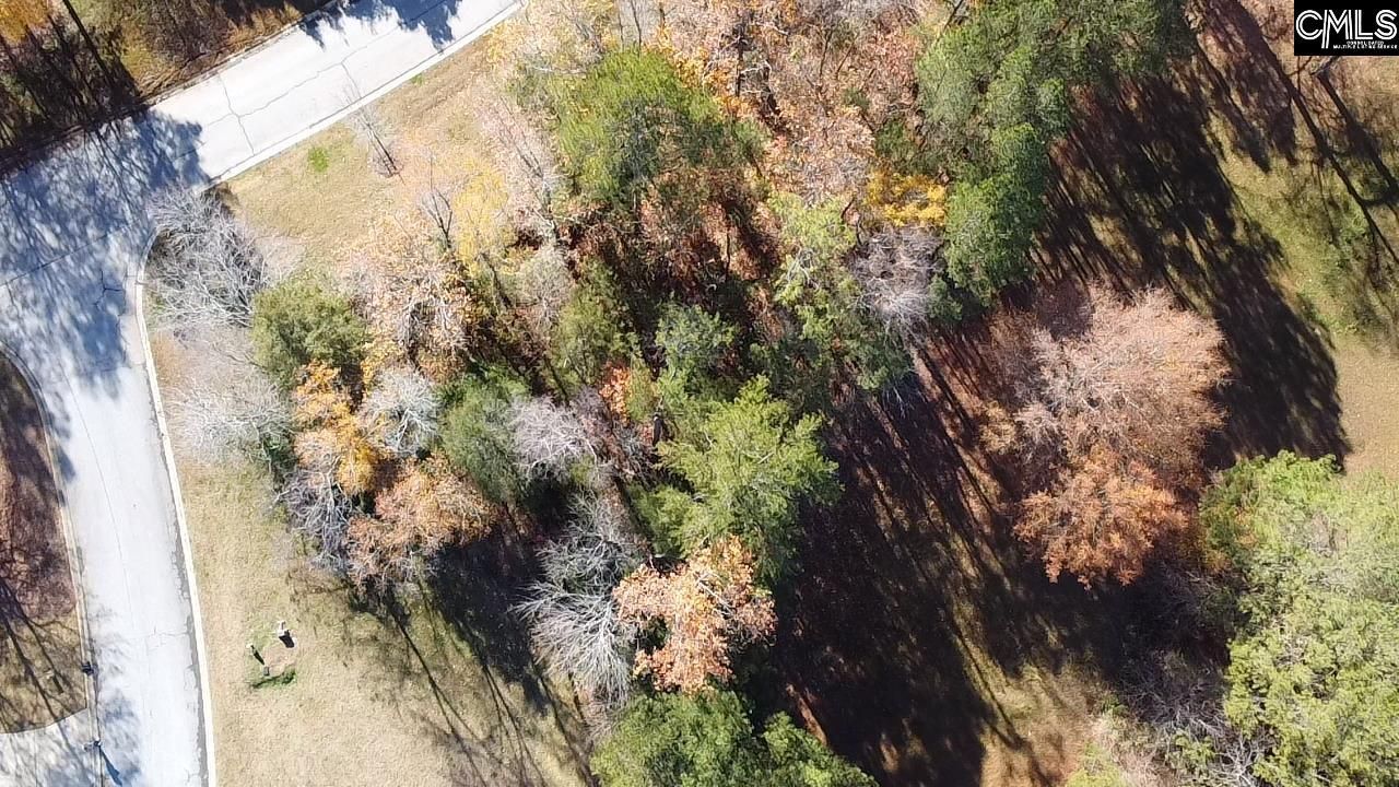 101 Summer Branch Lane Photo 4