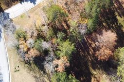 101 Summer Branch Lane photo 4