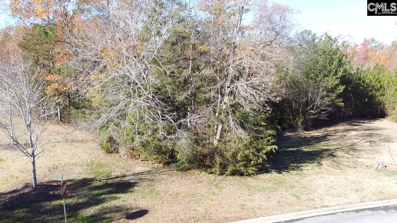 101 Summer Branch Lane Photo 6