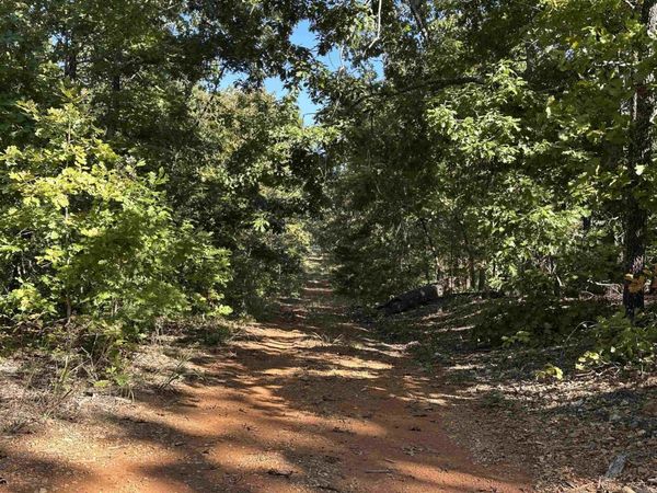 1609 Old Strawberry Lane, Horseshoe Bend, AR 72512