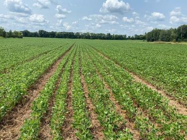 TBD 160th St., Foreston, MN 56330